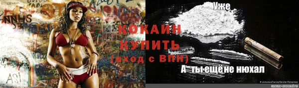 молекула духа Балахна