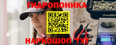 PSILOCYBIN Можга