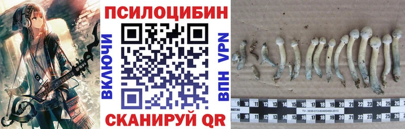 Галлюциногенные грибы мухоморы  Вольск 