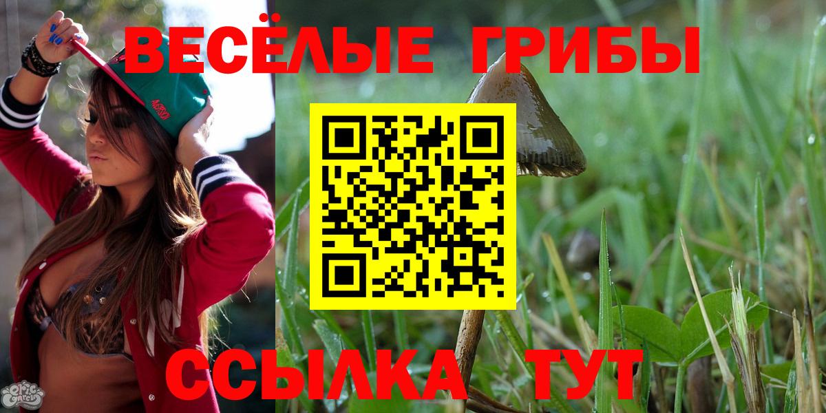 Вольск  Псилоцибиновые грибы GOLDEN TEACHER  Вход с VPN 